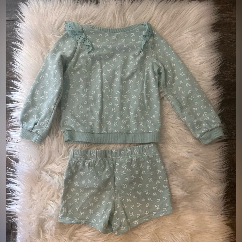 Carter’s Girl Sweatshirt and Shorts Outfit Set Bin 1